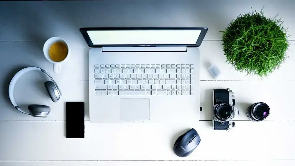 Qual a importância do Backoffice na empresa
